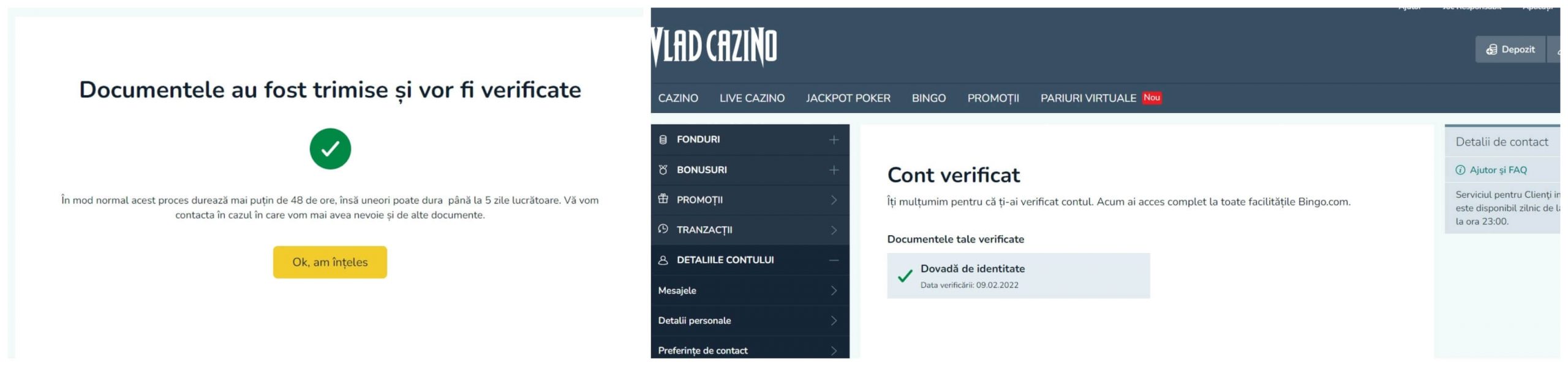 vlad cazino verificare cont